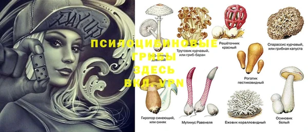 спайс Кинешма