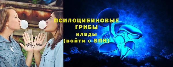 ALPHA PVP Иннополис
