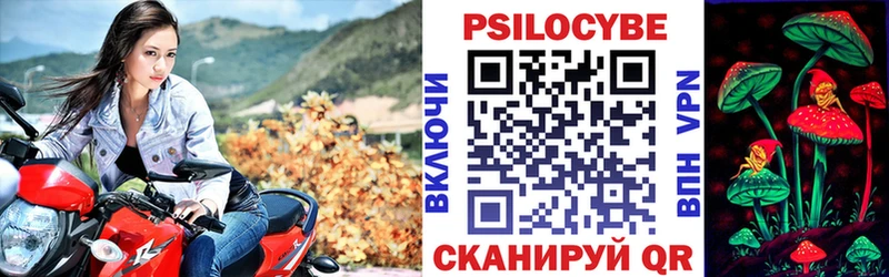 Галлюциногенные грибы ЛСД  Ревда 