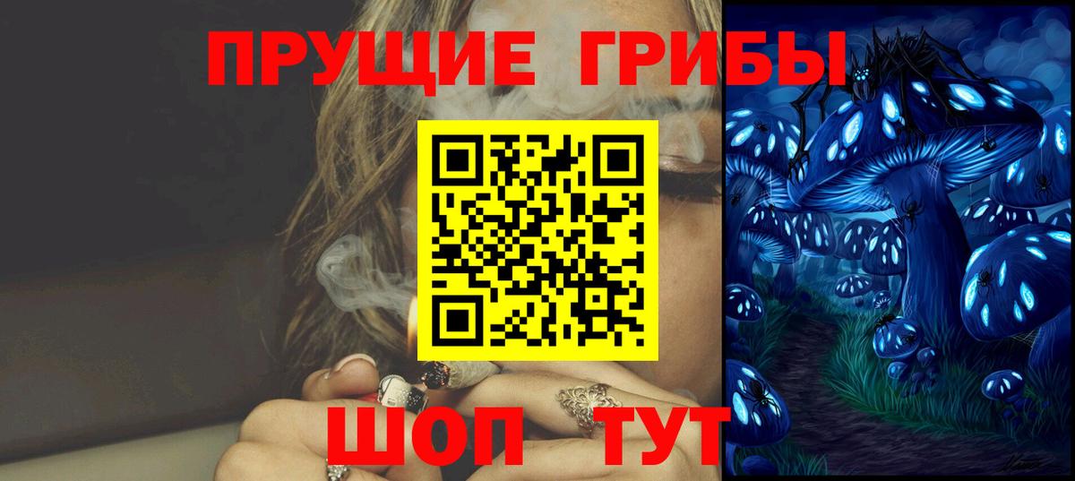 Псилоцибиновые грибы Psilocybine cubensis Ревда